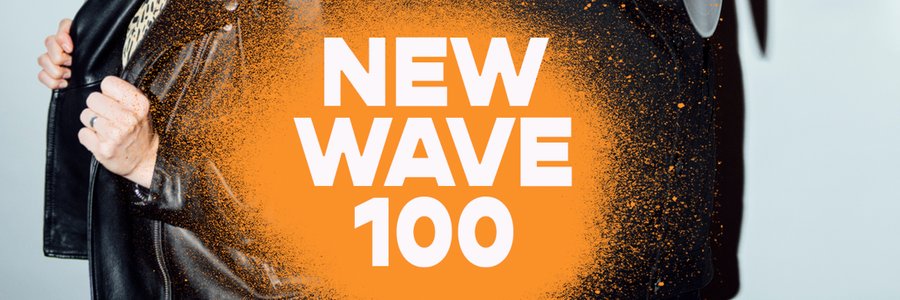 Willy New Wave 100