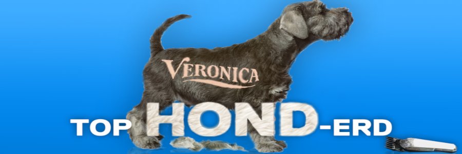 Radio Veronica viert dierendag met Top Hond-erd